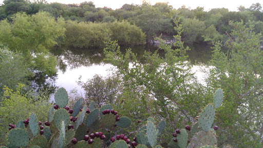 Park «Tom Slick Park / Dog Park», reviews and photos, 7400 Texas 151 Access Rd, San Antonio, TX 78227, USA