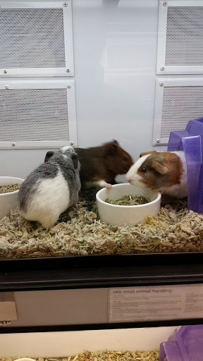 Pet Supply Store «Petco Animal Supplies», reviews and photos, 1111 US-46, Parsippany, NJ 07054, USA