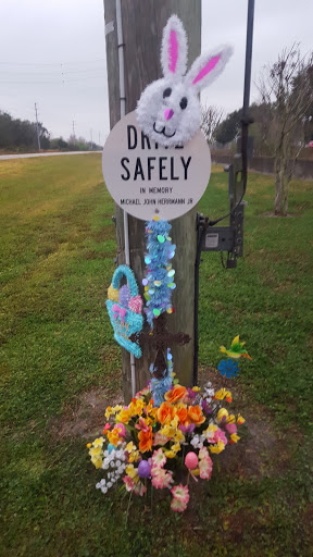 Insurance Agency «GEICO Corporate Office», reviews and photos