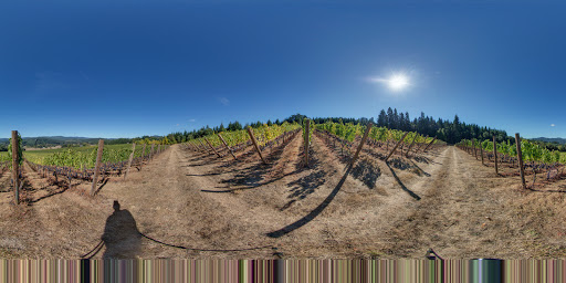 Winery «Walnut Ridge Vineyard», reviews and photos, 94739 Turnbow Ln, Junction City, OR 97448, USA