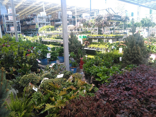 Home Improvement Store «The Home Depot», reviews and photos, 4120 GA-20, Buford, GA 30518, USA