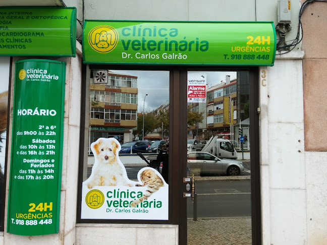 Avaliações doClinica Veterinária Dr. Carlos Galrão em Amadora - Veterinário