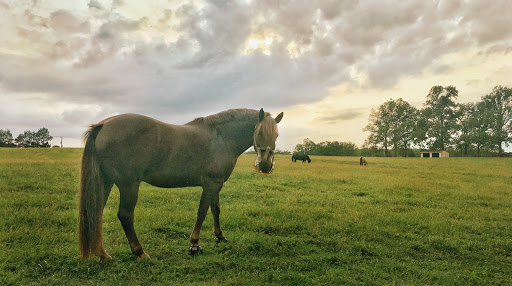 Tourist Attraction «The Underground Railroad Experience Trail», reviews and photos, 16501 Norwood Rd, Sandy Spring, MD 20860, USA