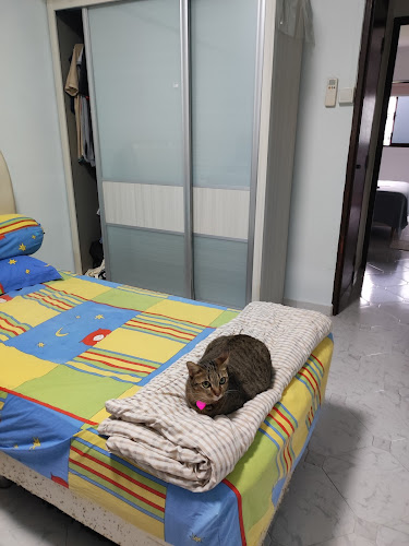 Comentarii opinii despre SparkCleanz | Your Trusted Cleaning Choice