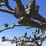 Photo n°5 de l'avis de Karin. fait le 25/04/2023 à 14:43 sur le  Zum Fässle à Hagnau am Bodensee