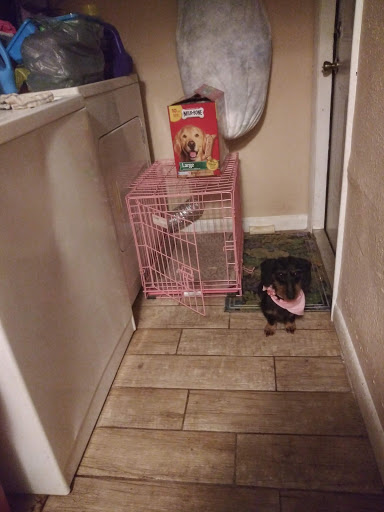 Pet Supply Store «PetSmart», reviews and photos, 11331 Causeway Blvd, Brandon, FL 33511, USA