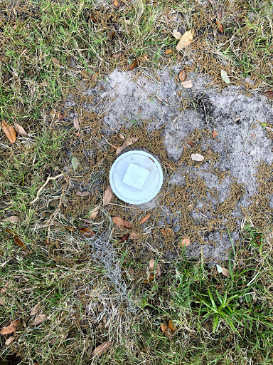 Plumber «Roto-Rooter Plumbing & Drain Services», reviews and photos, 2028 W 21st St, Jacksonville, FL 32209, USA