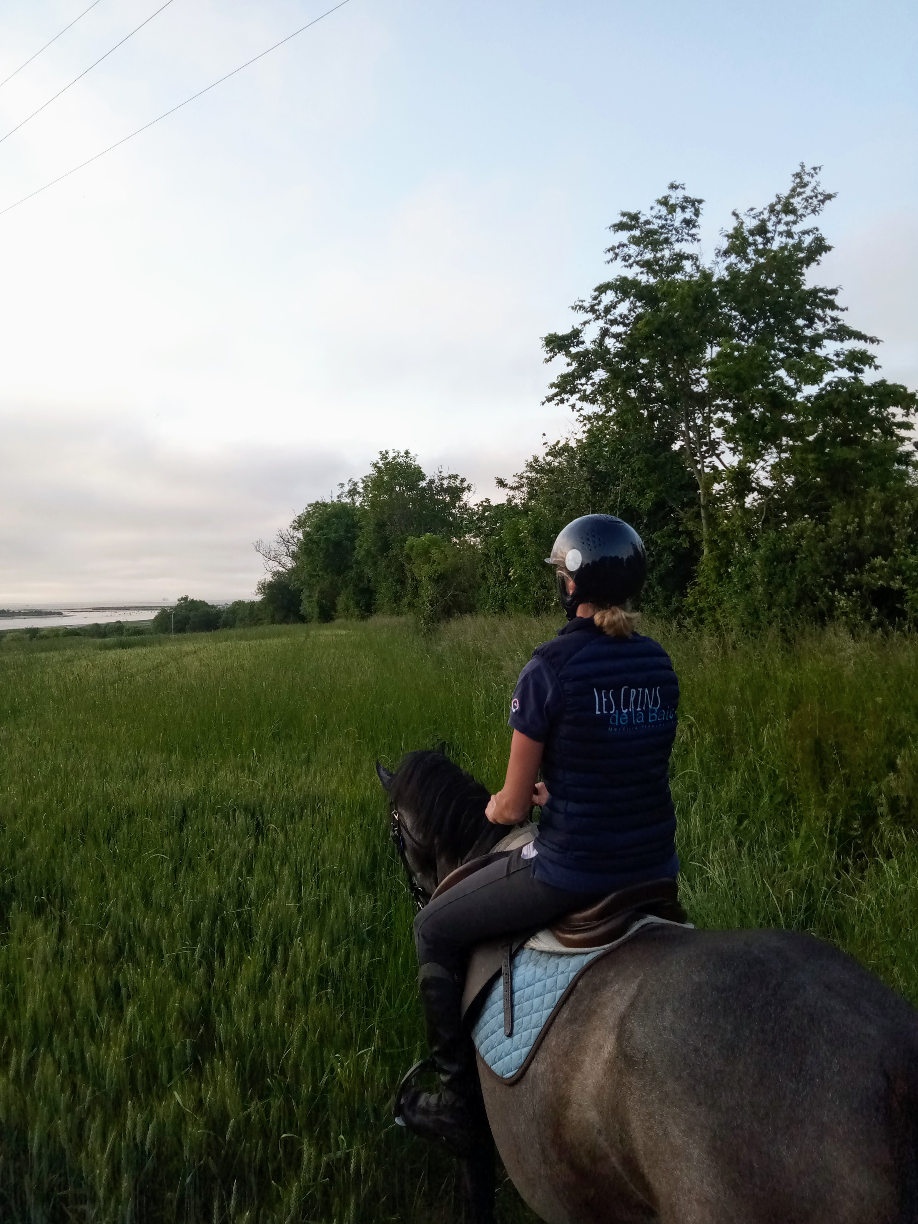 Photo n° 10 de l'avis de Thibault.e fait le 05/05/2022 à 05:49