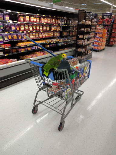 Department Store «Walmart Supercenter», reviews and photos, 3501 Route 42, Turnersville, NJ 08012, USA