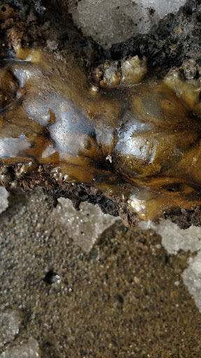 Golf Club «Snoqualmie Falls Golf Course», reviews and photos, 35109 SE Fish Hatchery Rd, Fall City, WA 98024, USA