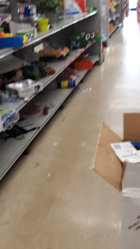 Dollar Store «FAMILY DOLLAR», reviews and photos, 6119 Rawsonville Rd, Belleville, MI 48111, USA