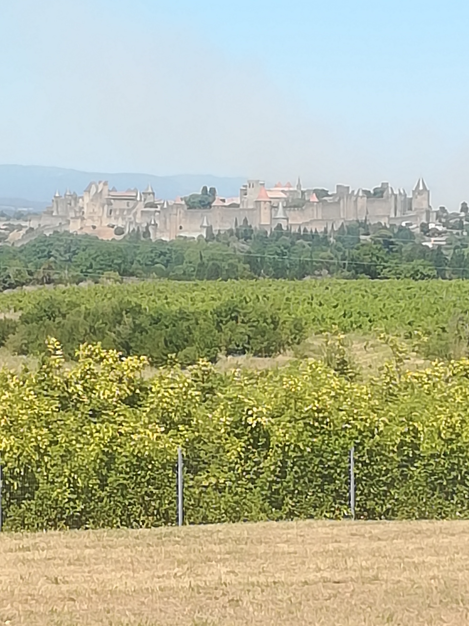 Photo n° 2 de l'avis de Marie.o fait le 11/08/2023 à 17:09
