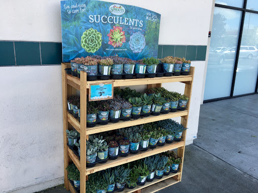 Health Food Store «Sprouts Farmers Market», reviews and photos, 20558 Stevens Creek Blvd, Cupertino, CA 95014, USA