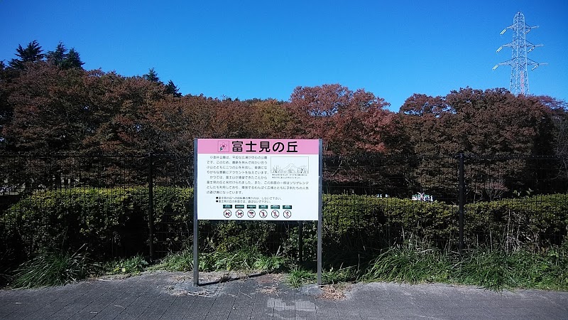 小金井公園富士見の丘