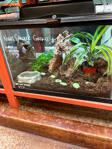 Pet Store «Animal Ark», reviews and photos, 175 S 500 E St, American Fork, UT 84003, USA