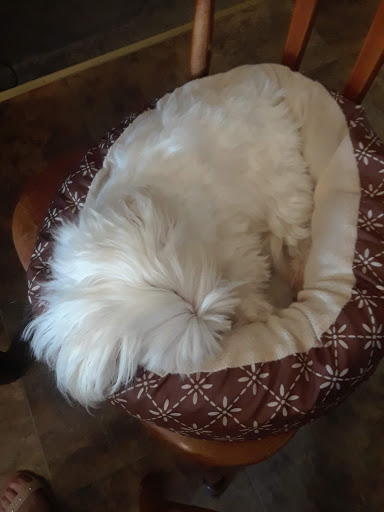 Pet Supply Store «Animal House», reviews and photos, 1509 S Black Horse Pike, Williamstown, NJ 08094, USA