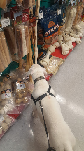 Pet Supply Store «Petco Animal Supplies», reviews and photos, 377 W Jackson St #11, Cookeville, TN 38501, USA