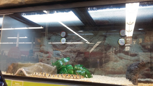 Pet Supply Store «Petco Animal Supplies», reviews and photos, 1142 Broadway, Chula Vista, CA 91911, USA