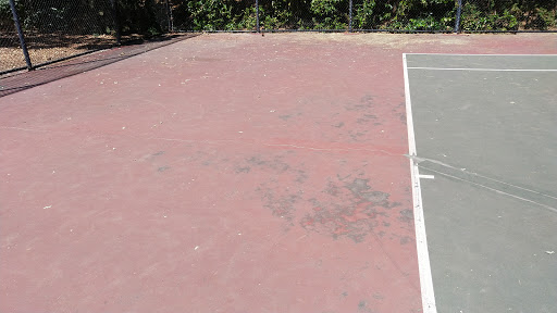 Pine Hollow Tennis Courts
