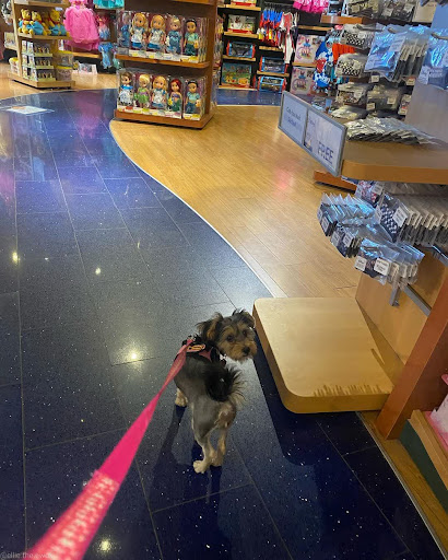 Toy Store «Disney Store», reviews and photos, 51 Main St, Salt Lake City, UT 84101, USA