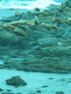Simpson Reef Overlook - photo 13