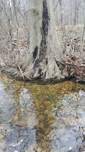 Park «Bringhurst Woods Park», reviews and photos, 5001 Washington Street Extension, Wilmington, DE 19809, USA