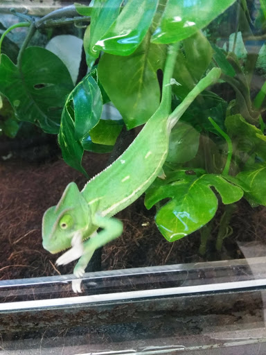 Pet Supply Store «Petco Animal Supplies», reviews and photos, 169 Parkingway, Quincy, MA 02169, USA