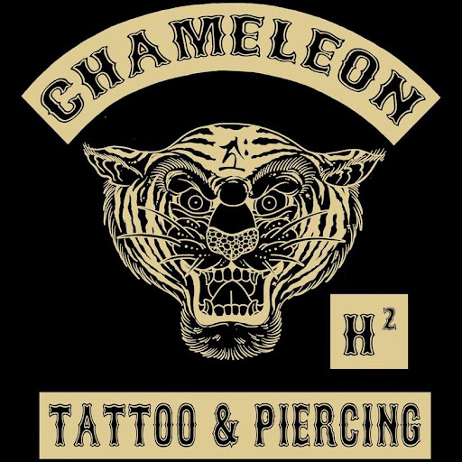 Tattoo Shop «Chameleon Tattoo & Body Piercing», reviews and photos, 36 John F. Kennedy St, Cambridge, MA 02138, USA
