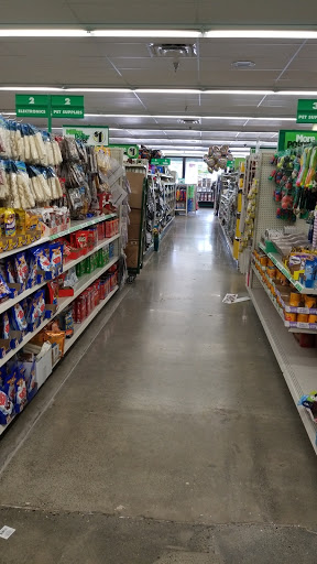 Dollar Store «Dollar Tree», reviews and photos, 21815 Marine View Dr S, Des Moines, WA 98198, USA
