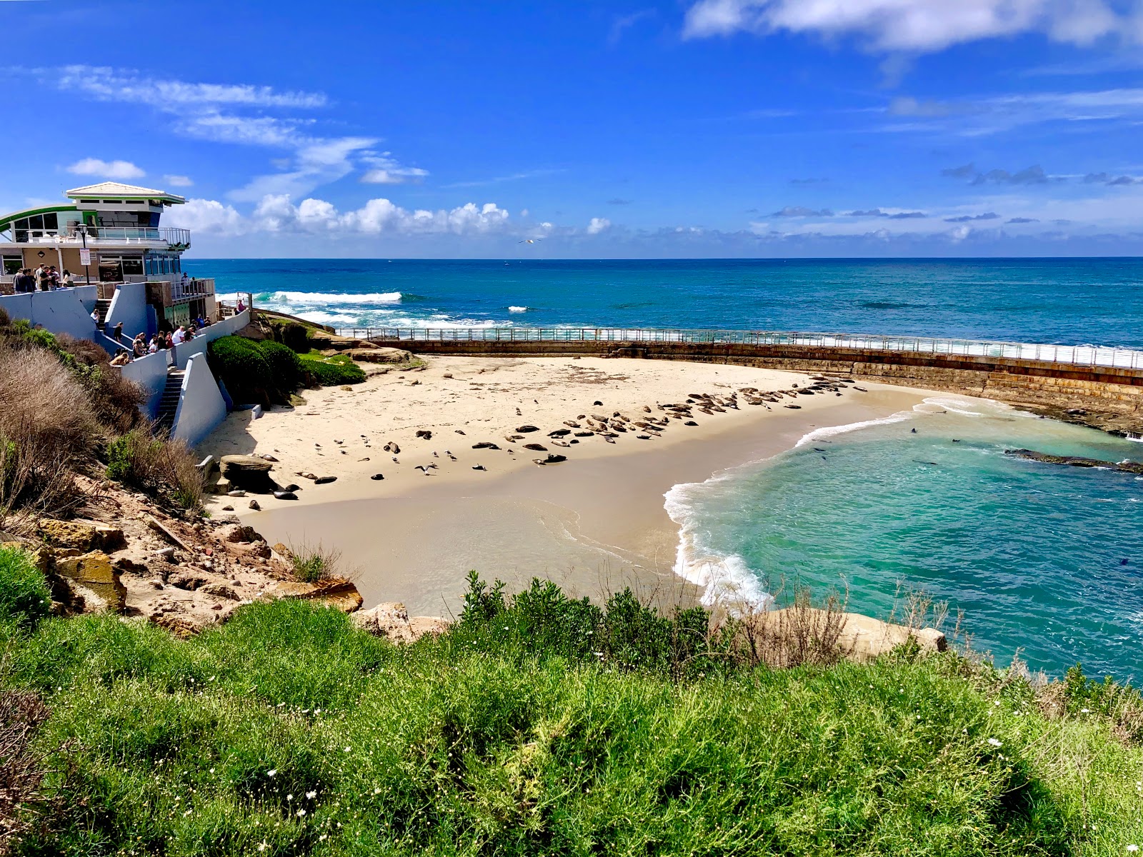 Photo de Children's Pool La Jolla avec baie spacieuse