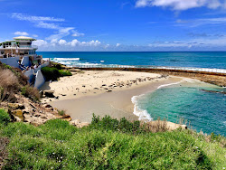 Photo de Children's Pool La Jolla avec baie spacieuse