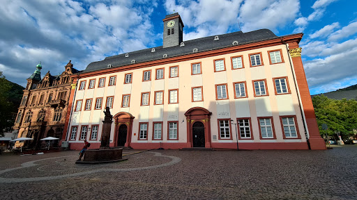 Colegios internacionales de Heidelberg 