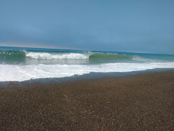Lincoln Beach'in fotoğrafı vahşi alan