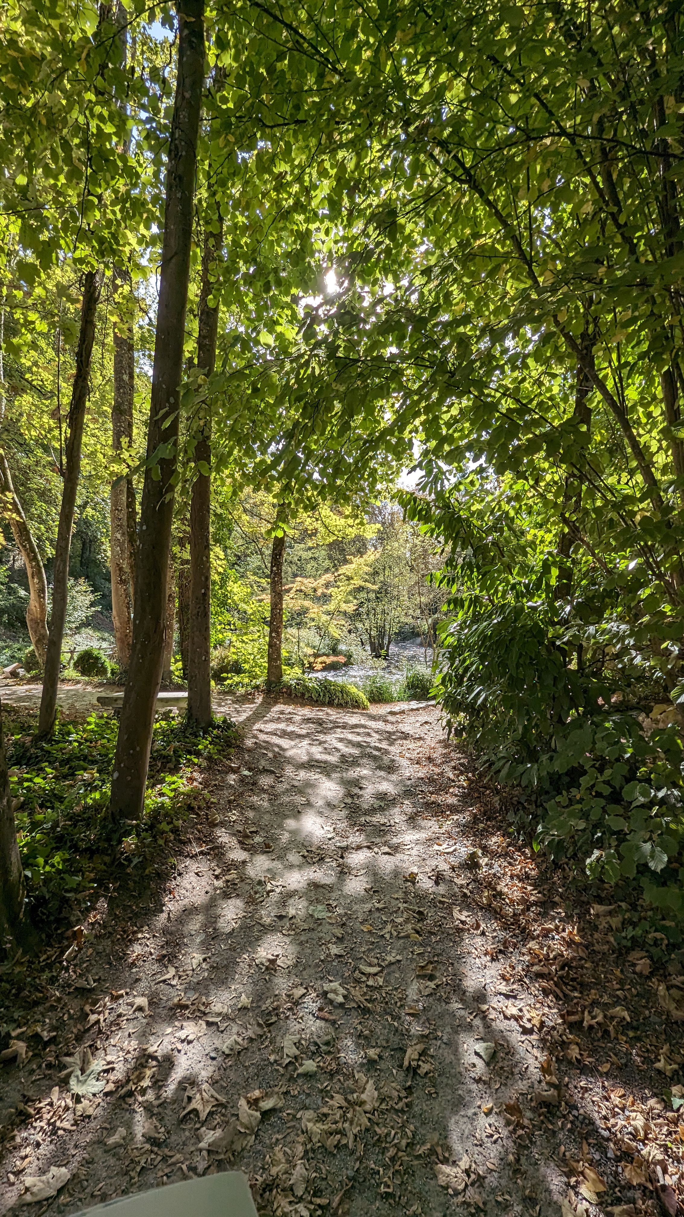 Photo n° 5 de l'avis de Jules. fait le 31/10/2023 à 16:38