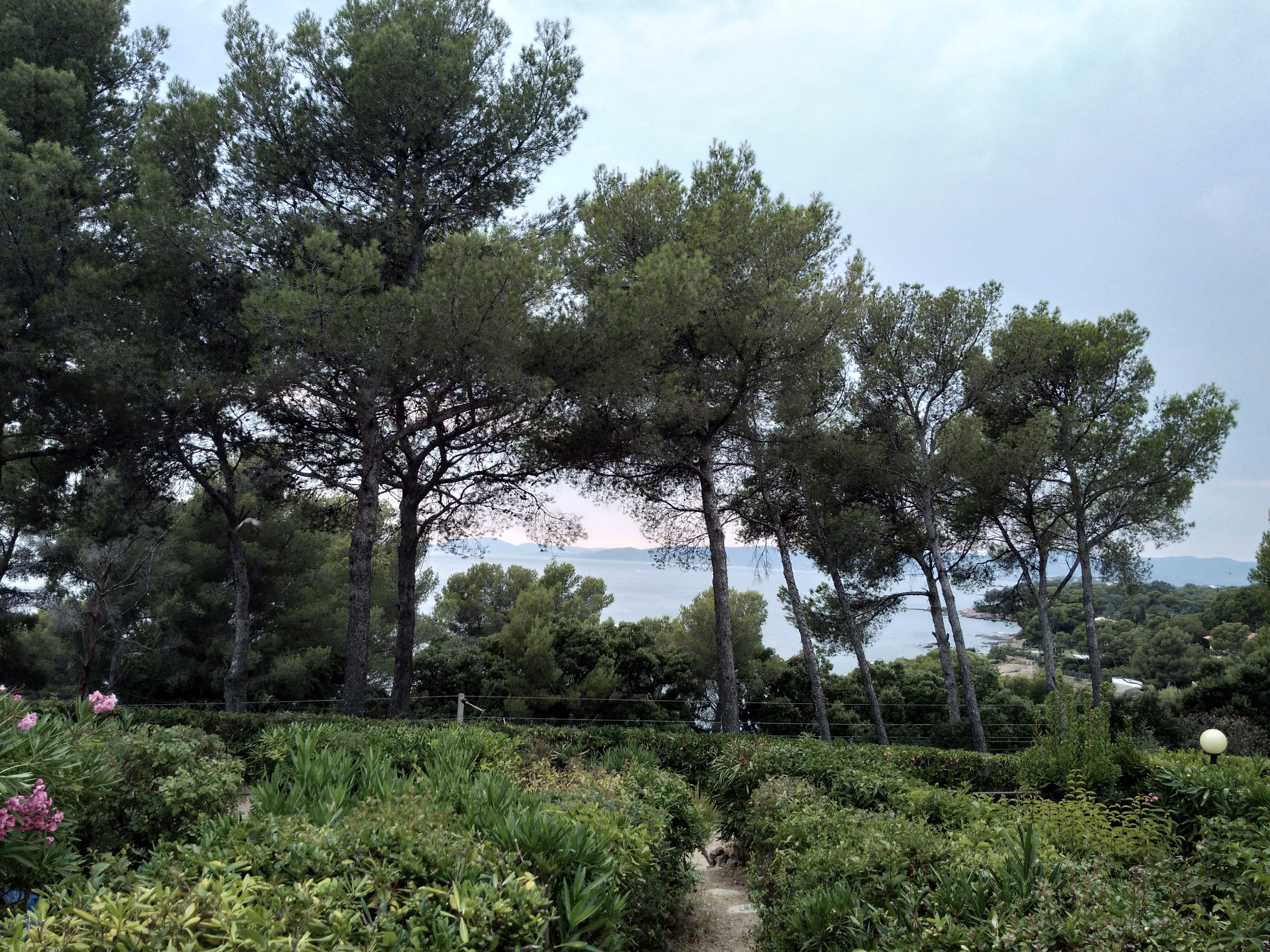 Photo n° 2 de l'avis de renald.m fait le 10/08/2018 à 21:21