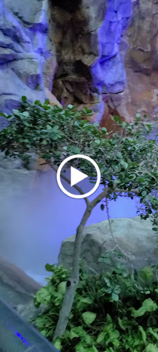 Garden «Mystic Falls Park», reviews and photos, 5111 Boulder Hwy, Las Vegas, NV 89122, USA