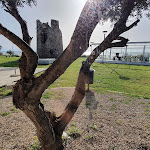 Photo n°6 de l'avis de Giovanni.i fait le 29/03/2022 à 08:18 sur le  Ristorante Sotto La Torre à La Maddalena