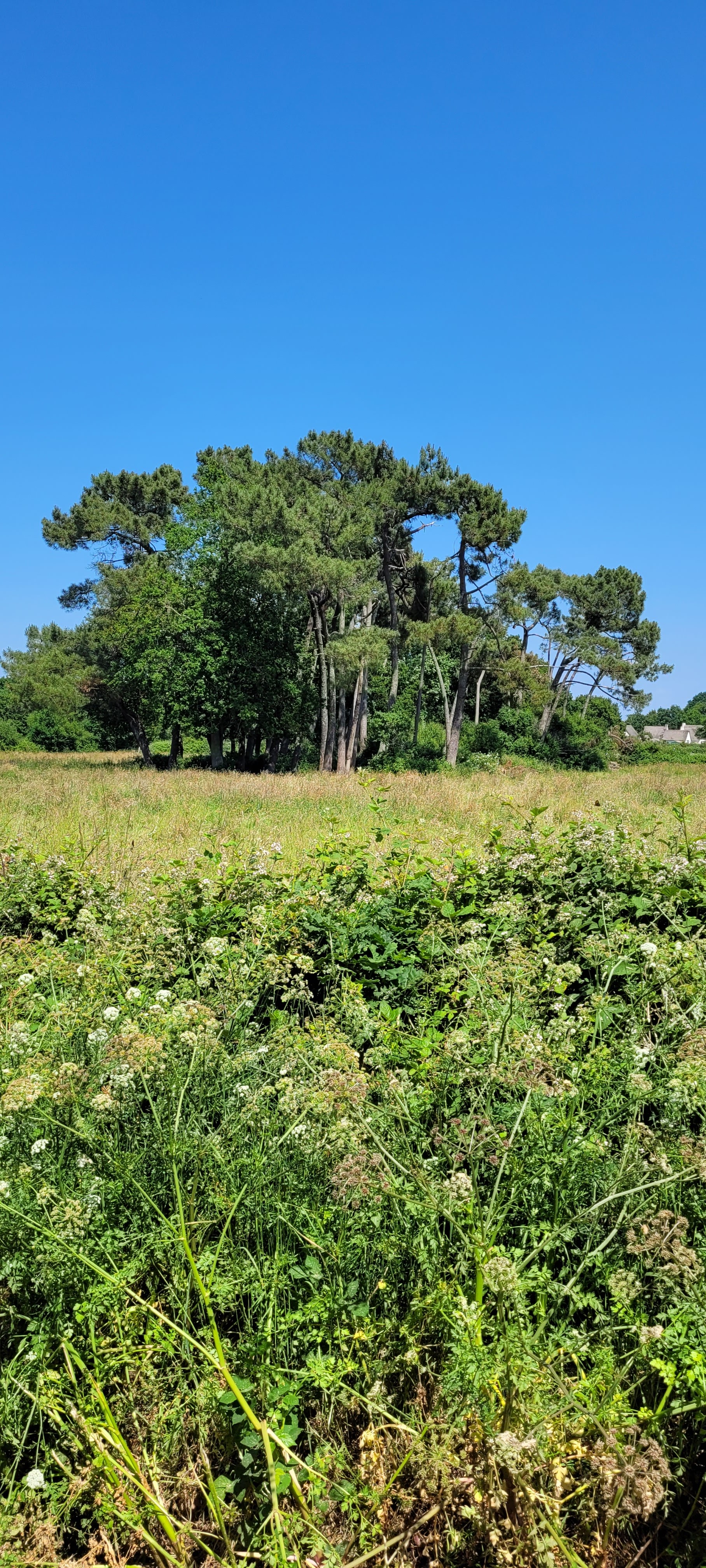 Photo n° 24 de l'avis de Didier.e fait le 04/06/2023 à 16:15
