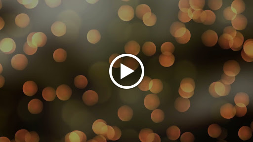 Dance School «North Carolina Dance Institute», reviews and photos, 5910 Duraleigh Rd #101, Raleigh, NC 27612, USA