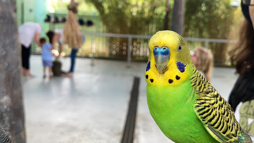 Educational Institution «Institute For Marine Mammal Studies», reviews and photos, 10801 Dolphin Ln, Gulfport, MS 39503, USA