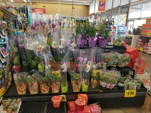 Grocery Store «Grocery Outlet Bargain Market», reviews and photos, 2079 23rd St, San Pablo, CA 94806, USA