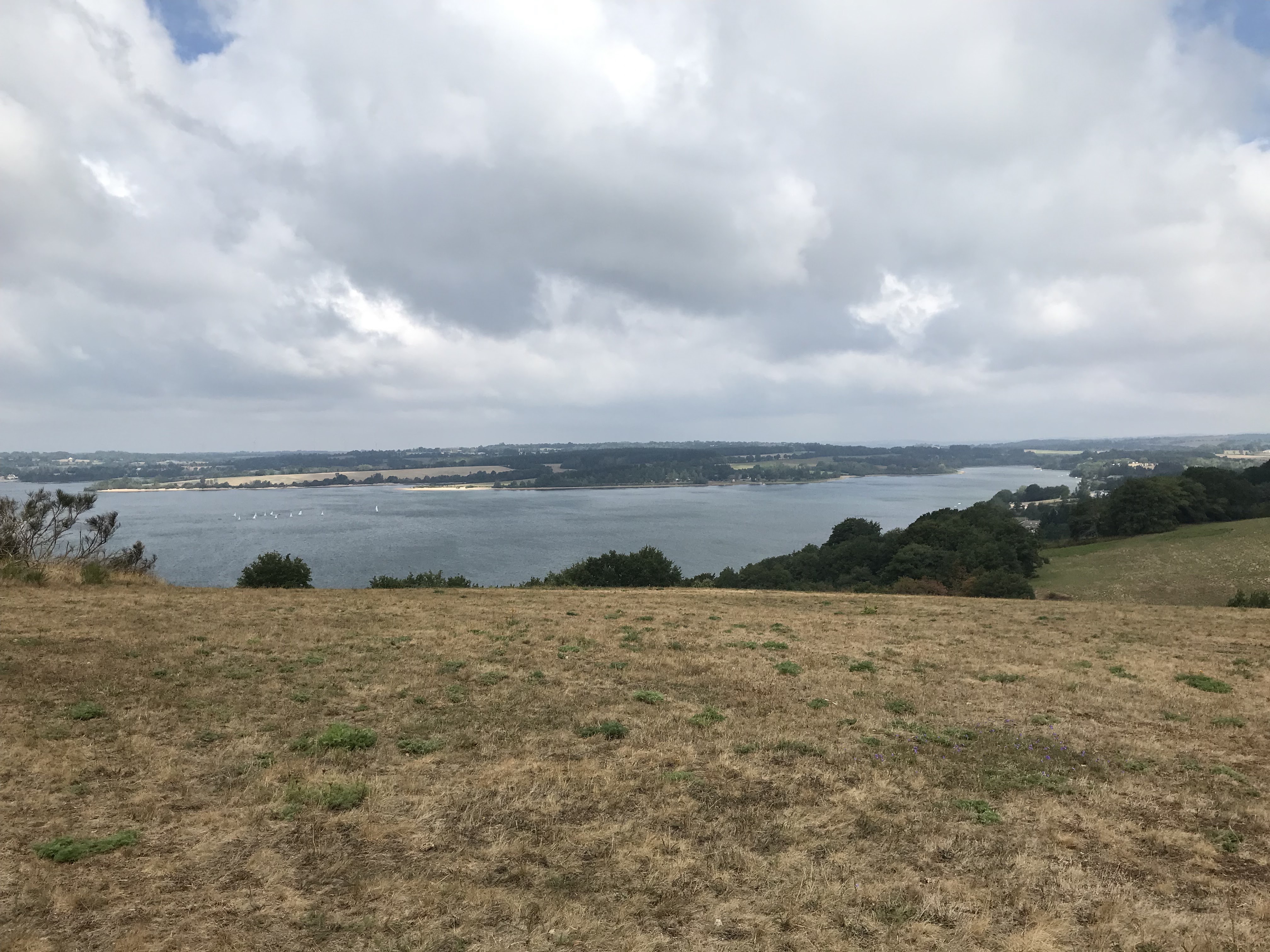 Photo n° 5 de l'avis de Michel.e fait le 10/09/2022 à 14:29