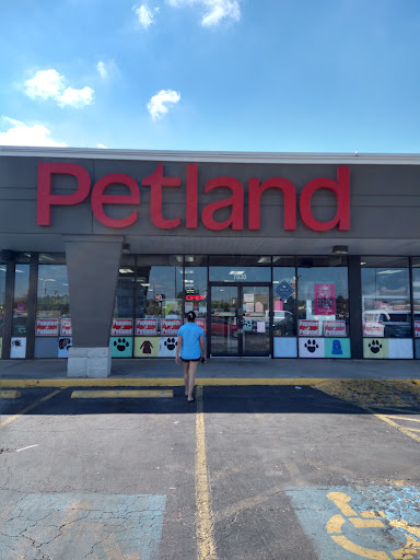 Pet Store «Petland», reviews and photos, 7030 Bandera Rd, San Antonio, TX 78238, USA