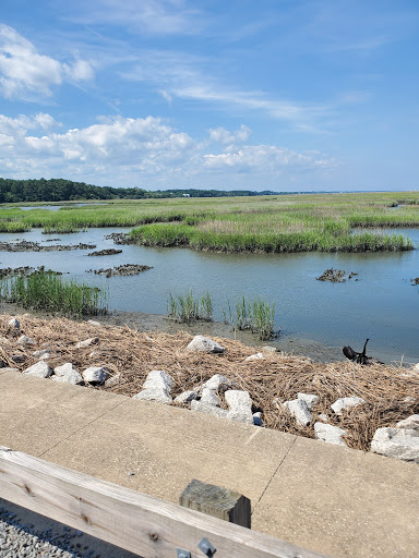 National Park «Atalaya», reviews and photos, Atalaya Rd, Murrells Inlet, SC 29576, USA