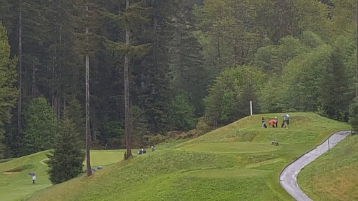 Golf Course «Gold Mountain Golf Club», reviews and photos, 7263 W Belfair Valley Rd, Bremerton, WA 98310, USA