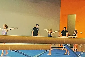 Fortis Gymnastics Academy image