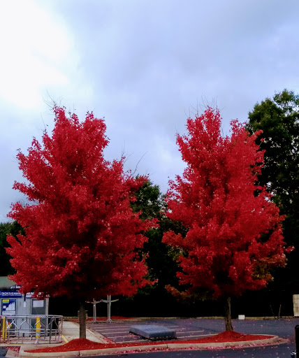 Self-Storage Facility «Storage Key», reviews and photos, 1310 US-411, Cartersville, GA 30121, USA