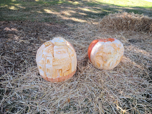 Park «Clyde Beach Park», reviews and photos, 2 92nd Ave NE, Bellevue, WA 98004, USA