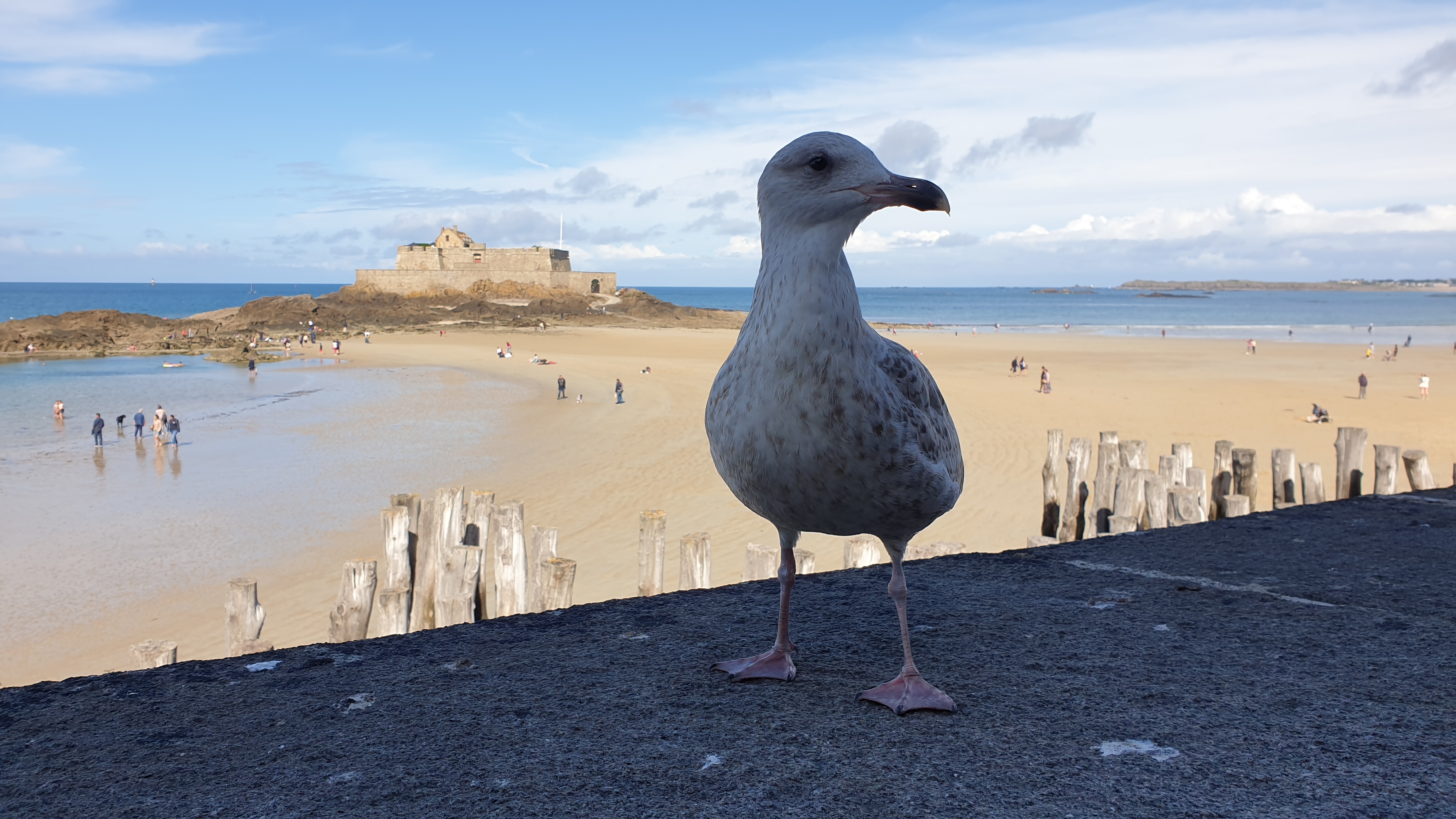 Photo n° 2 de l'avis de Roelie.a fait le 19/09/2021 à 15:37