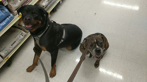 Pet Supply Store «PetSmart», reviews and photos, 1743 Martin Luther King Blvd, Houma, LA 70360, USA